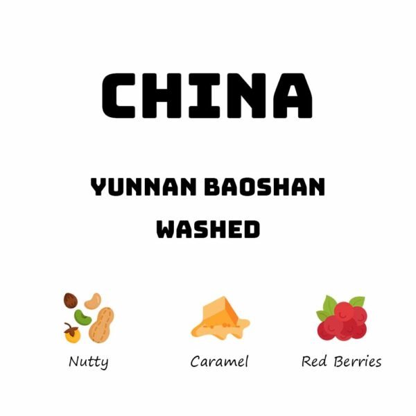 China Yunnan Baoshan - Washed