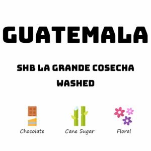 Guatemala SHB La Grande Cosecha - Washed