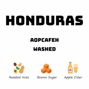 Honduras Aopcafeh - Washed
