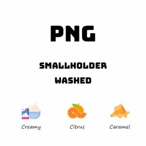 Papua New Guinea Smallholder - Washed