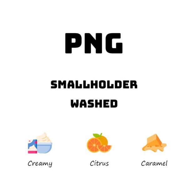 Papua New Guinea Smallholder - Washed